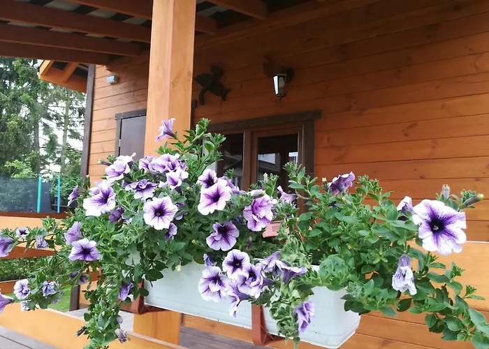 Pod Jablonia Mikoszewo